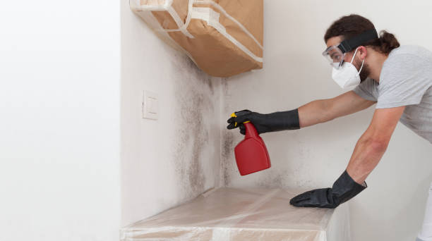 Professional Bathroom Mold Removal technician working in West Newton, MA