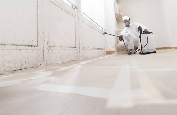24/7 Emergency Bathroom Mold Removal experts in West Newton, MA