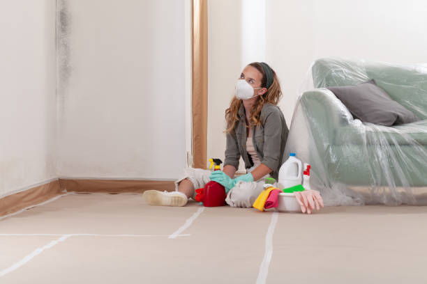 Reliable Bathroom Mold Removal contractor in West Newton, MA by Mold Remediation HQ